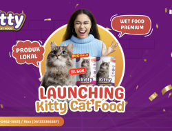 KITTY Cat Food: Produk Baru Wet Food Asli Dalam Negeri